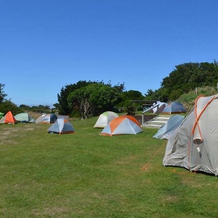 Dunedin Holiday Park ภายนอก รูปภาพ